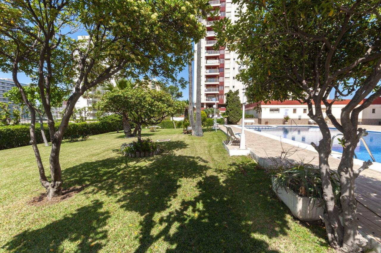 Ag Aquarium Apartment Playa de Gandia Luaran gambar